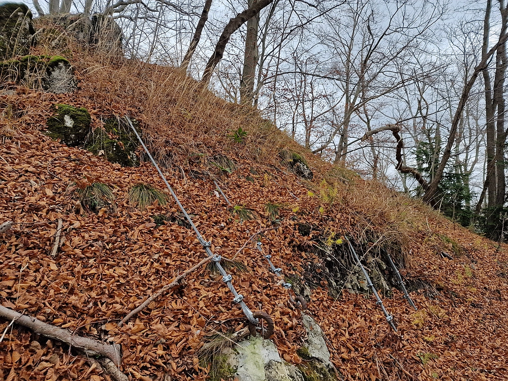 Žrebljev hrib, 15. 11. 2025