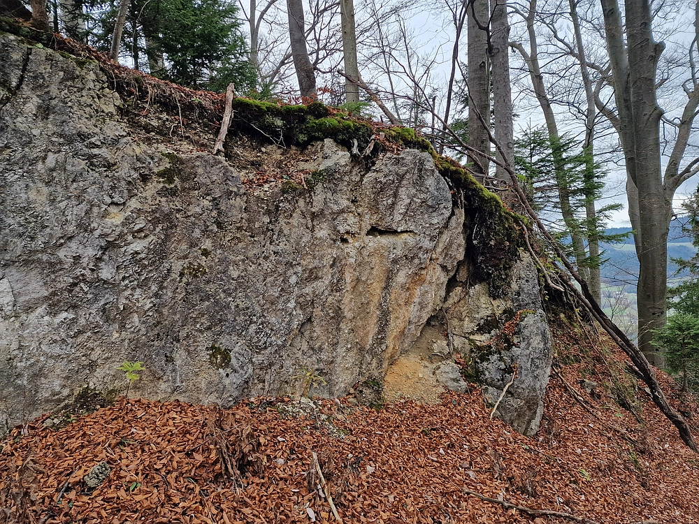 Žrebljev hrib, 15. 11. 2025
