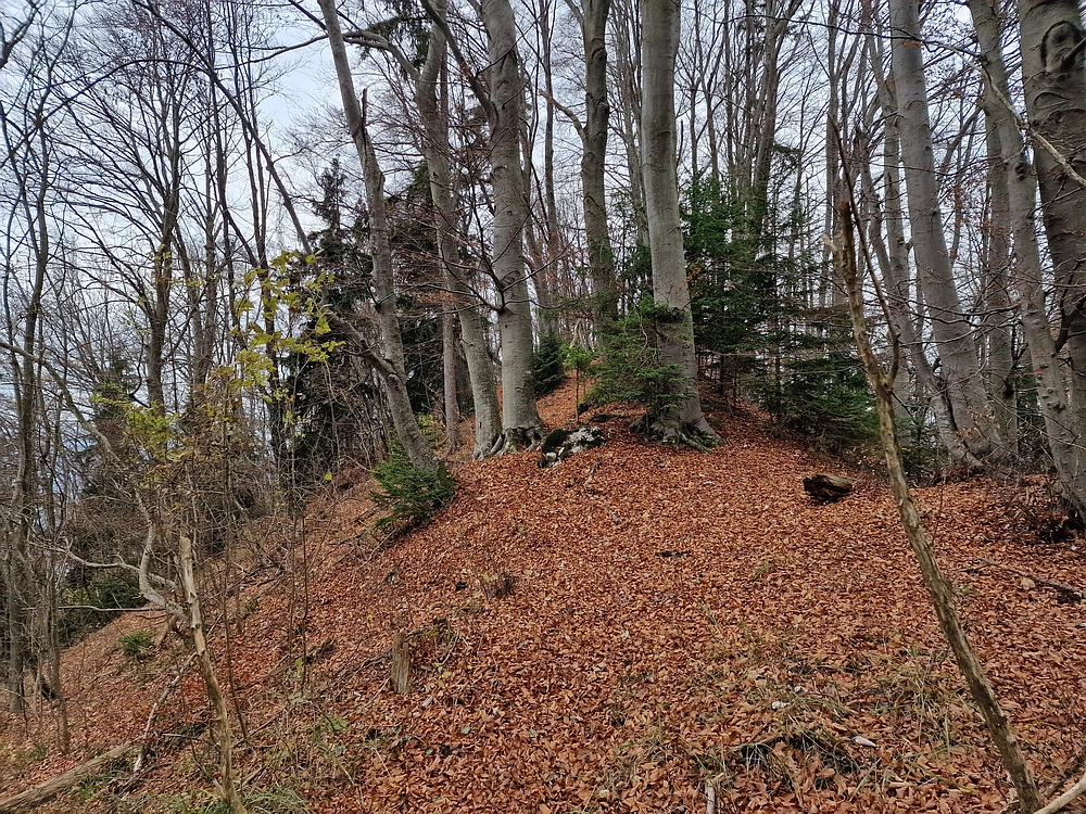 Žrebljev hrib, 15. 11. 2025