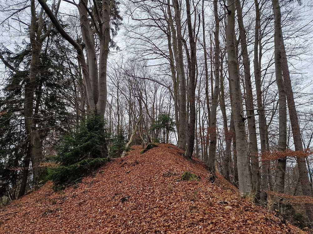 Žrebljev hrib, 15. 11. 2025
