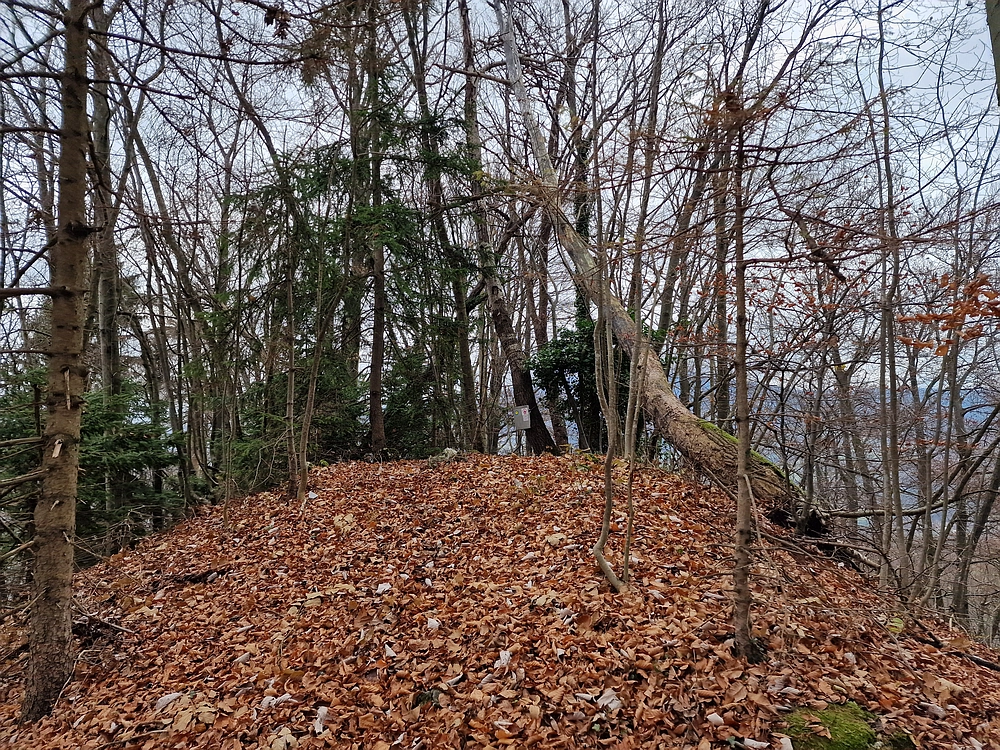 Žrebljev hrib, 15. 11. 2025