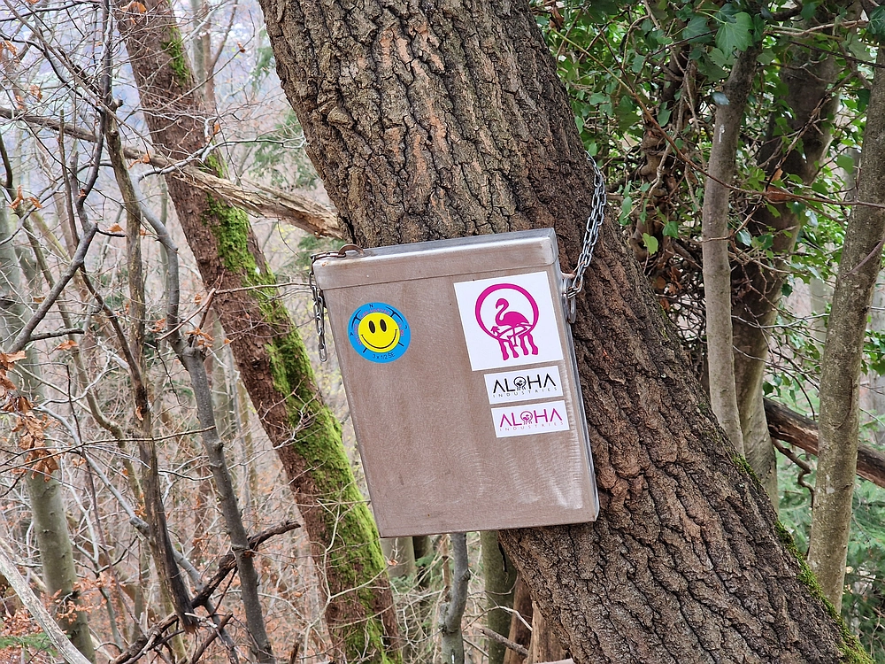 Žrebljev hrib, 15. 11. 2025