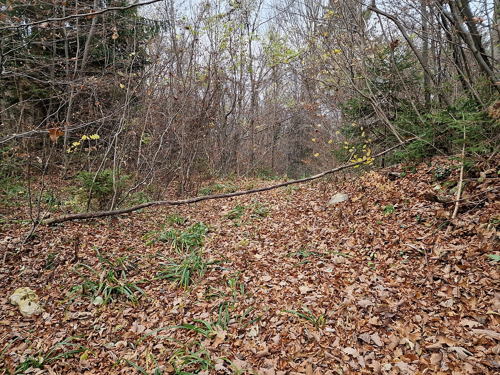 Žrebljev hrib, 15. 11. 2025