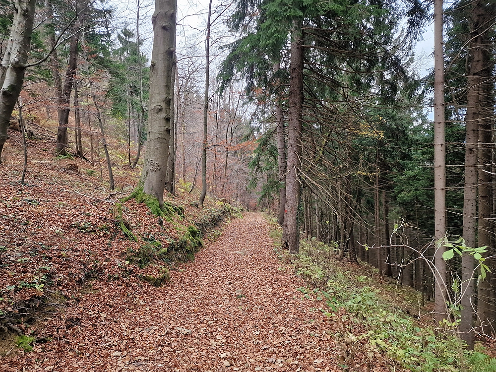 Žrebljev hrib, 15. 11. 2025