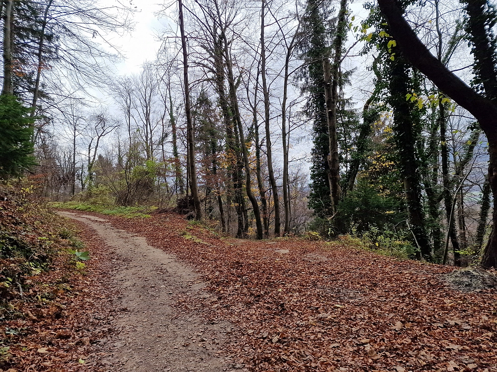 Žrebljev hrib, 15. 11. 2025