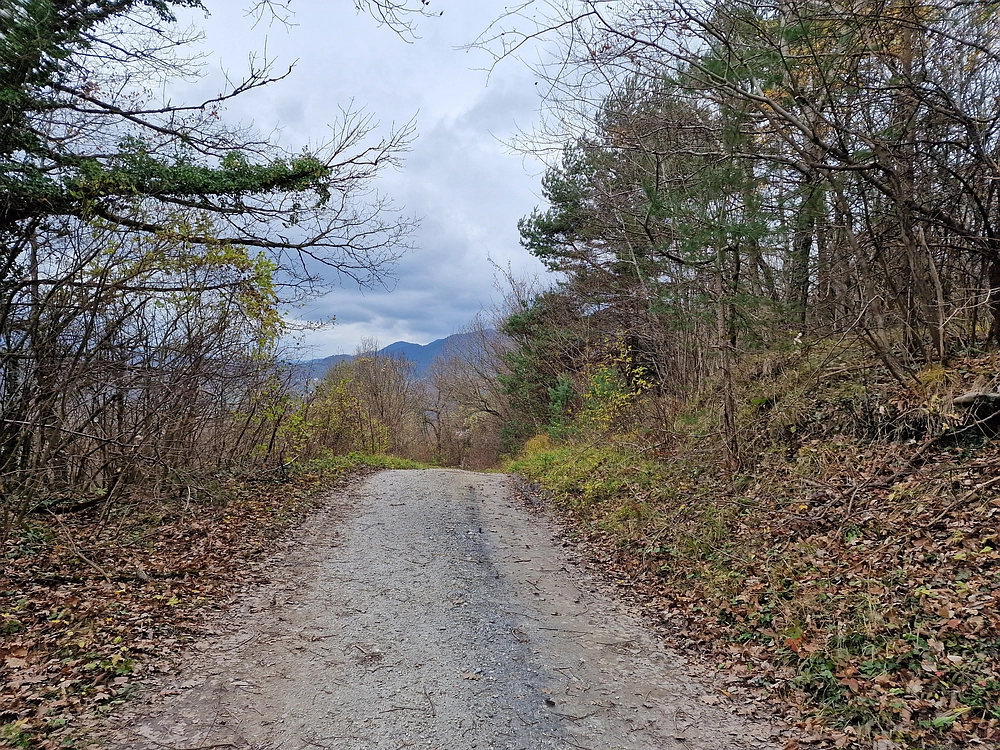 Žrebljev hrib, 15. 11. 2025