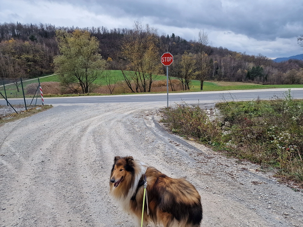 Žrebljev hrib, 15. 11. 2025