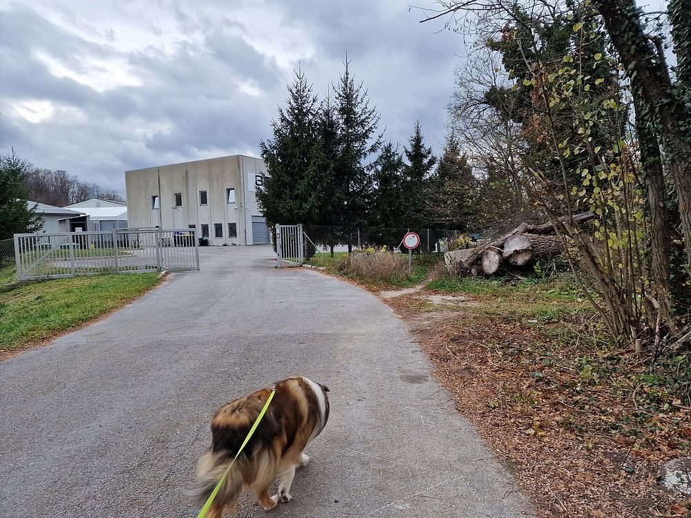 Žrebljev hrib, 15. 11. 2025