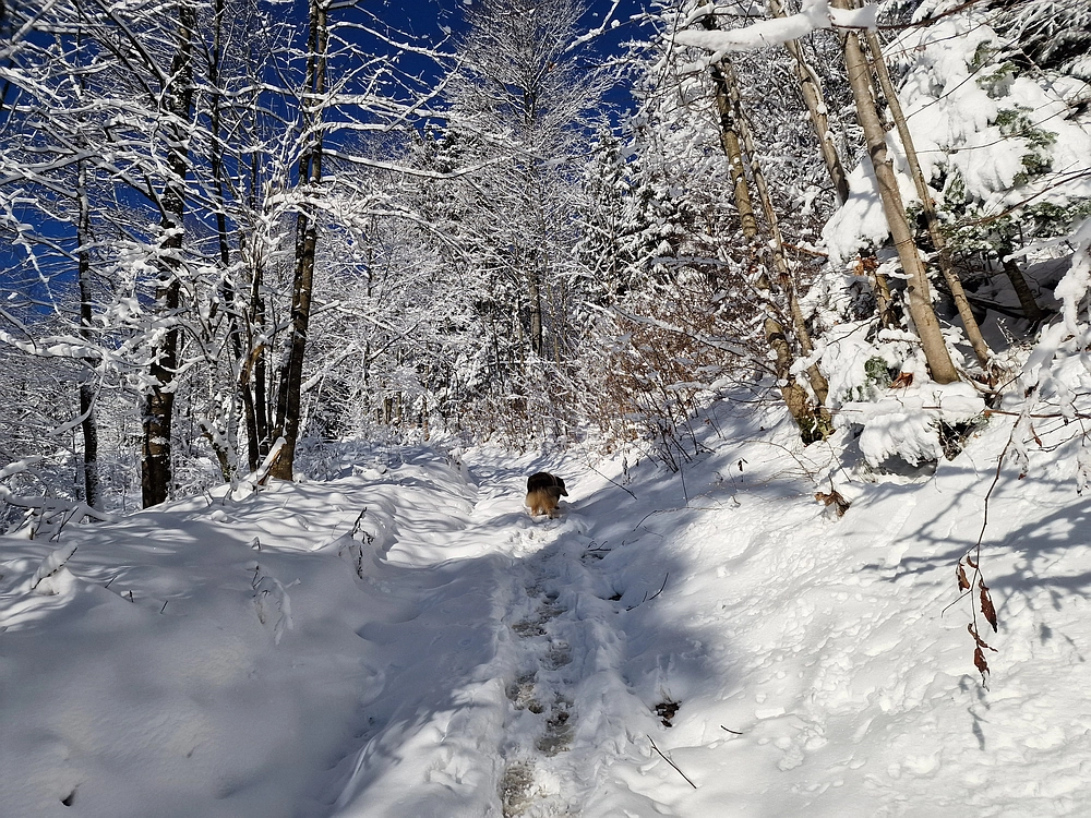 Vrhe - Čemšeniška planina, 23. 11. 2025