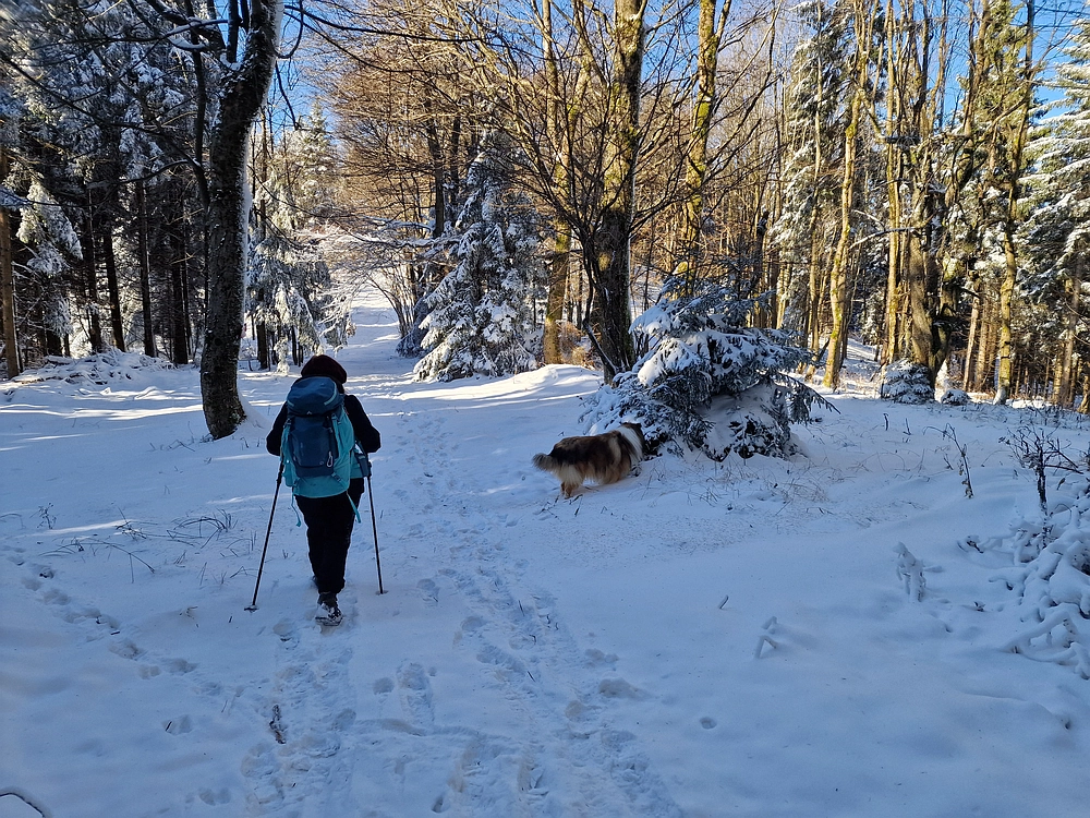 Vrhe - Čemšeniška planina, 23. 11. 2025