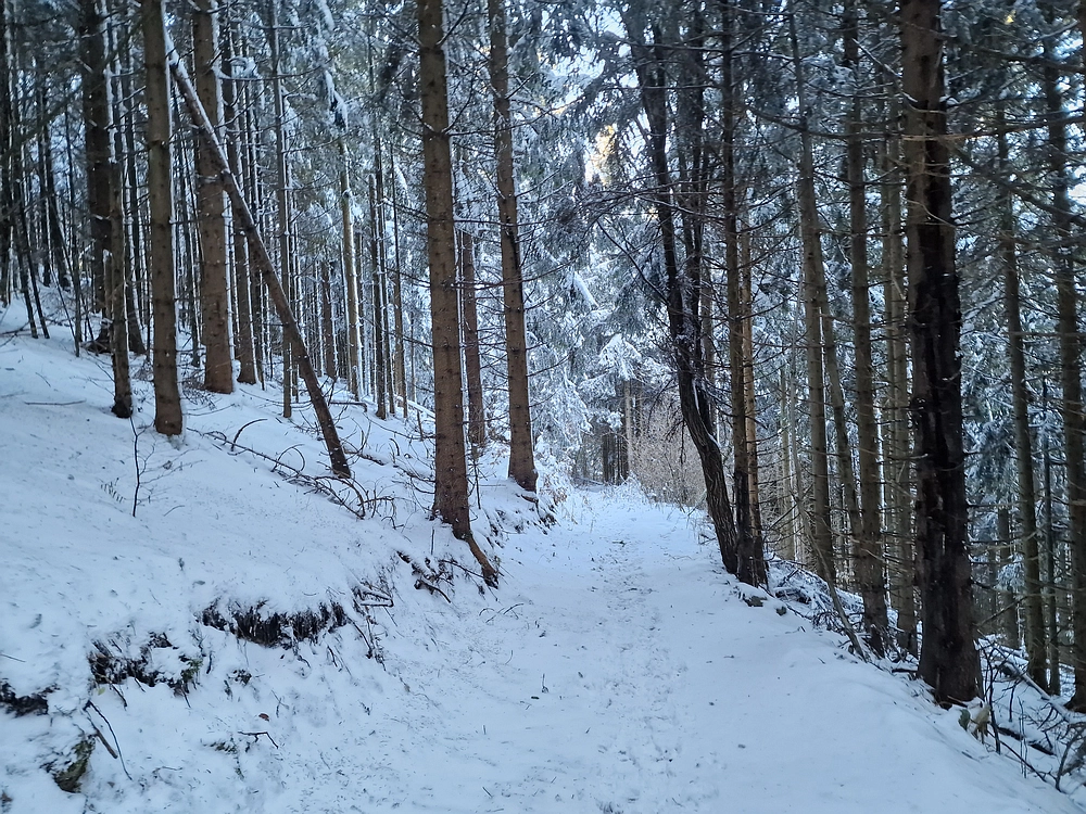 Vrhe - Čemšeniška planina, 23. 11. 2025