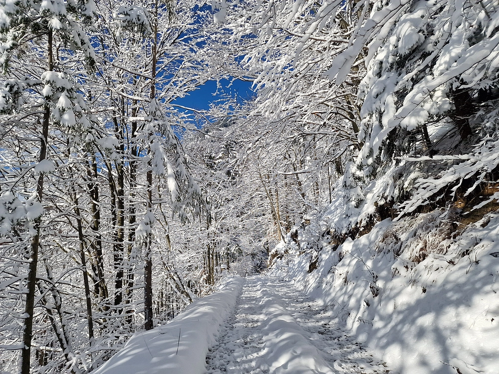Vrhe - Čemšeniška planina, 23. 11. 2025