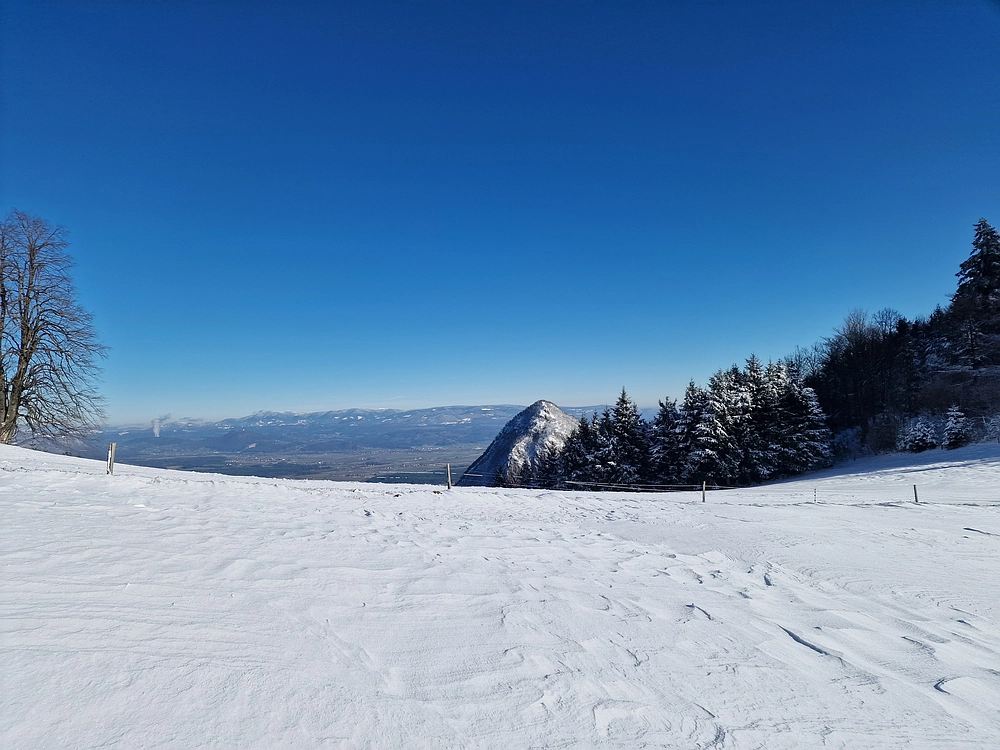 Vrhe - Čemšeniška planina, 23. 11. 2025