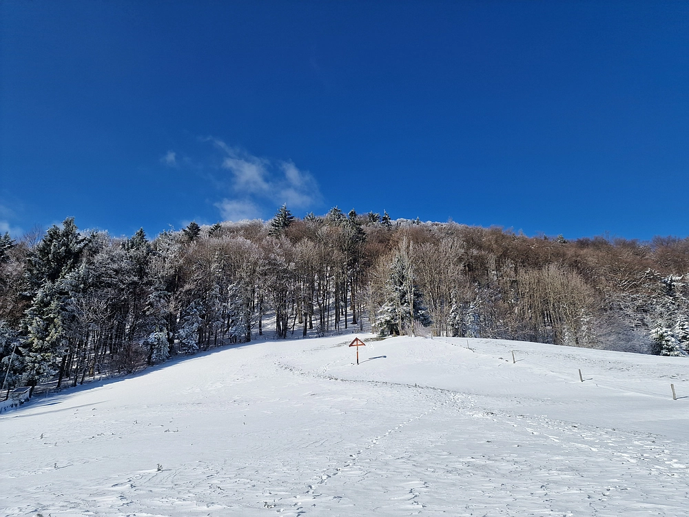 Vrhe - Čemšeniška planina, 23. 11. 2025