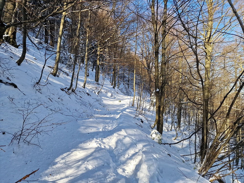 Vrhe - Čemšeniška planina, 23. 11. 2025