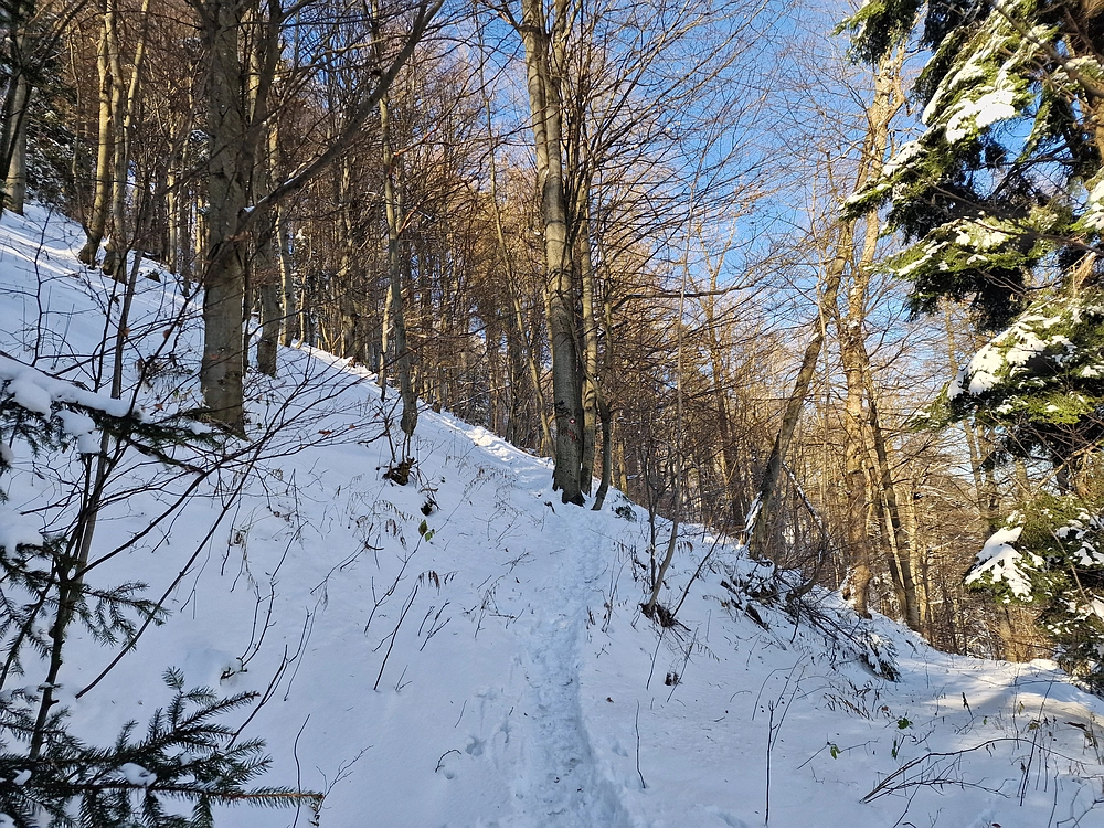 Vrhe - Čemšeniška planina, 23. 11. 2025