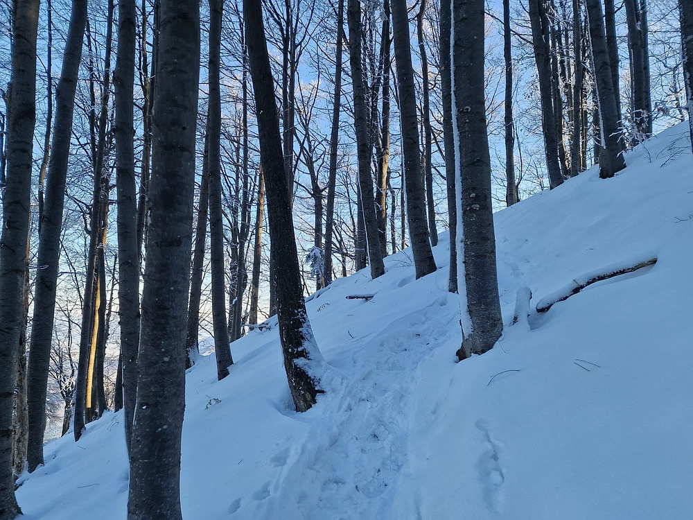 Vrhe - Čemšeniška planina, 23. 11. 2025