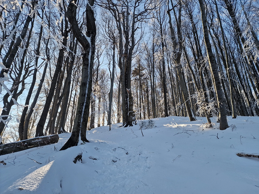Vrhe - Čemšeniška planina, 23. 11. 2025
