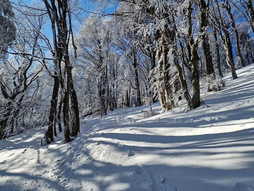 Vrhe - Čemšeniška planina, 23. 11. 2025