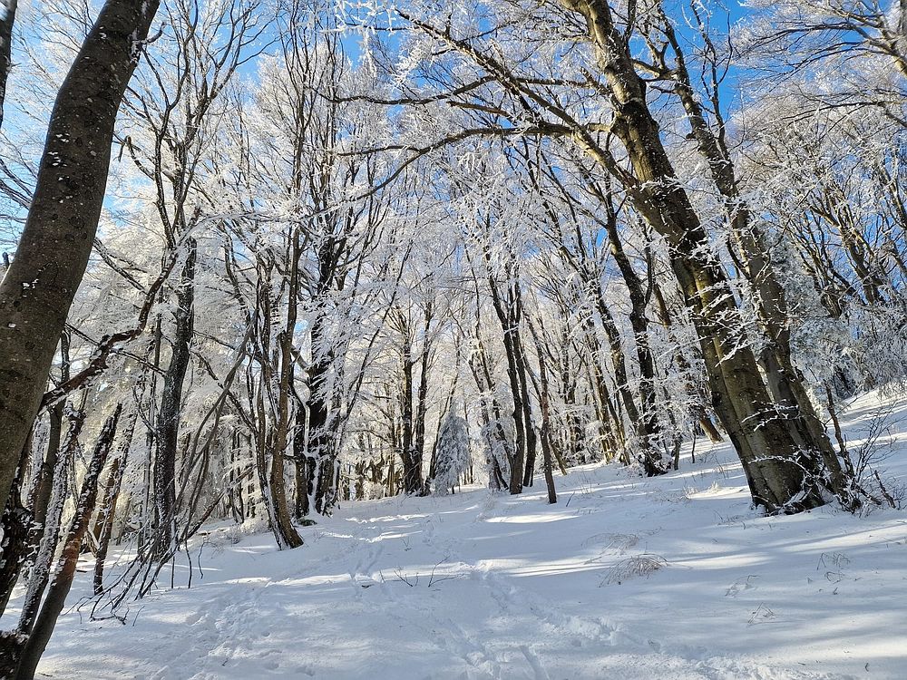 Vrhe - Čemšeniška planina, 23. 11. 2025