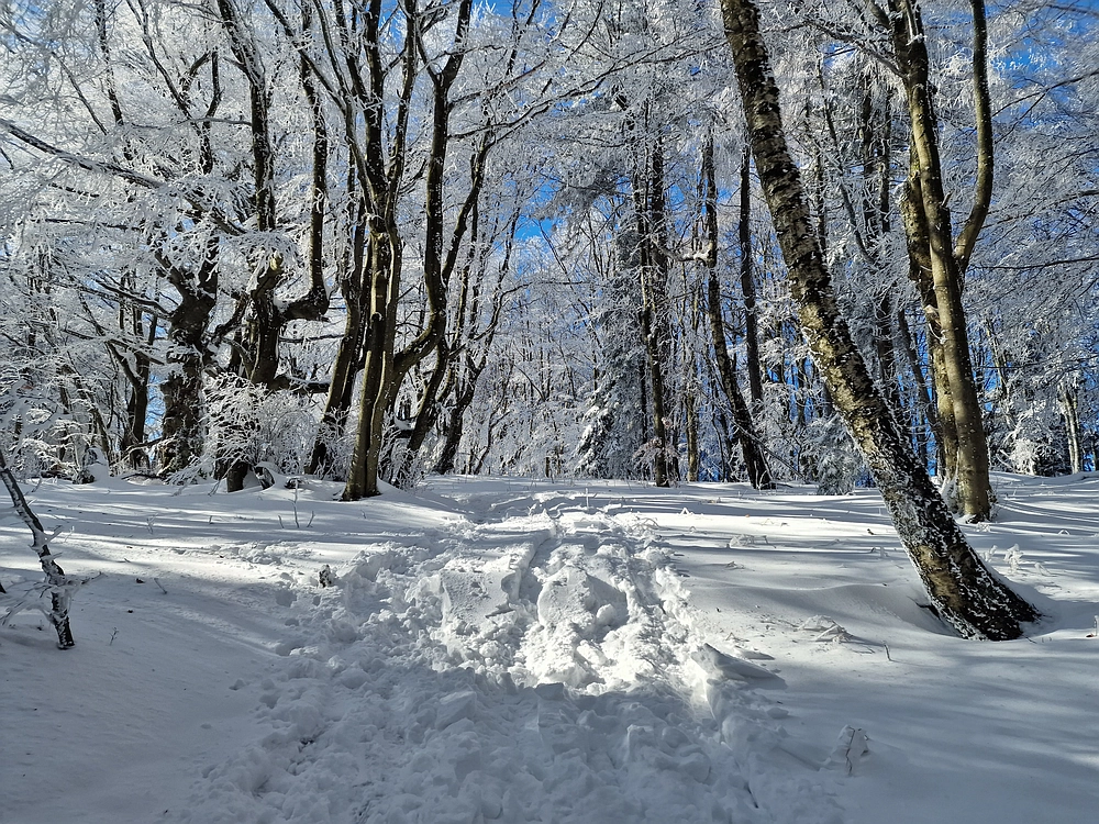 Vrhe - Čemšeniška planina, 23. 11. 2025