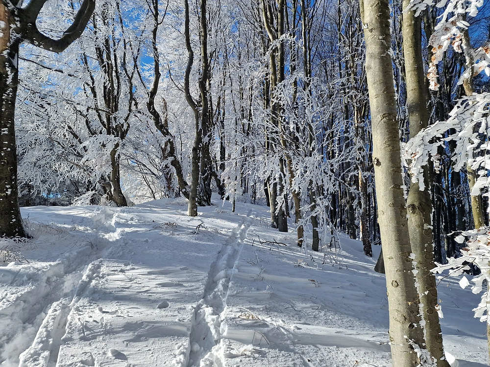 Vrhe - Čemšeniška planina, 23. 11. 2025