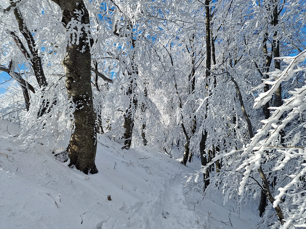 Vrhe - Čemšeniška planina, 23. 11. 2025