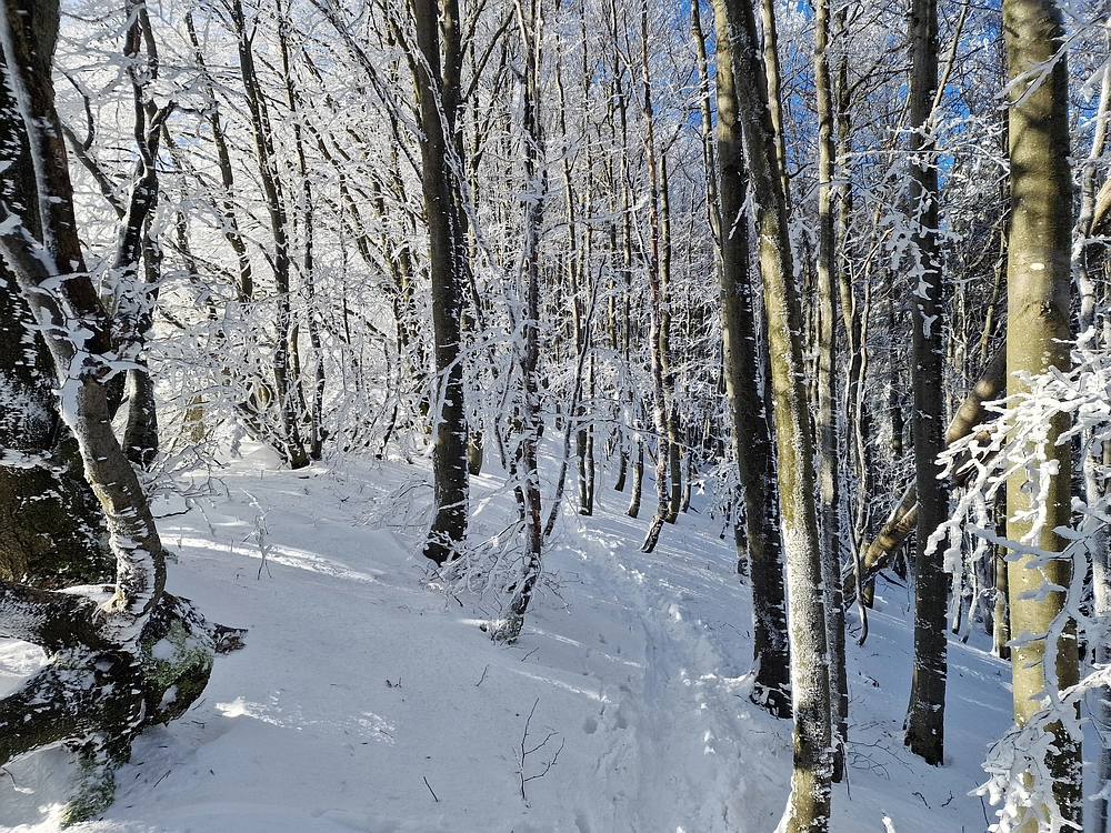 Vrhe - Čemšeniška planina, 23. 11. 2025