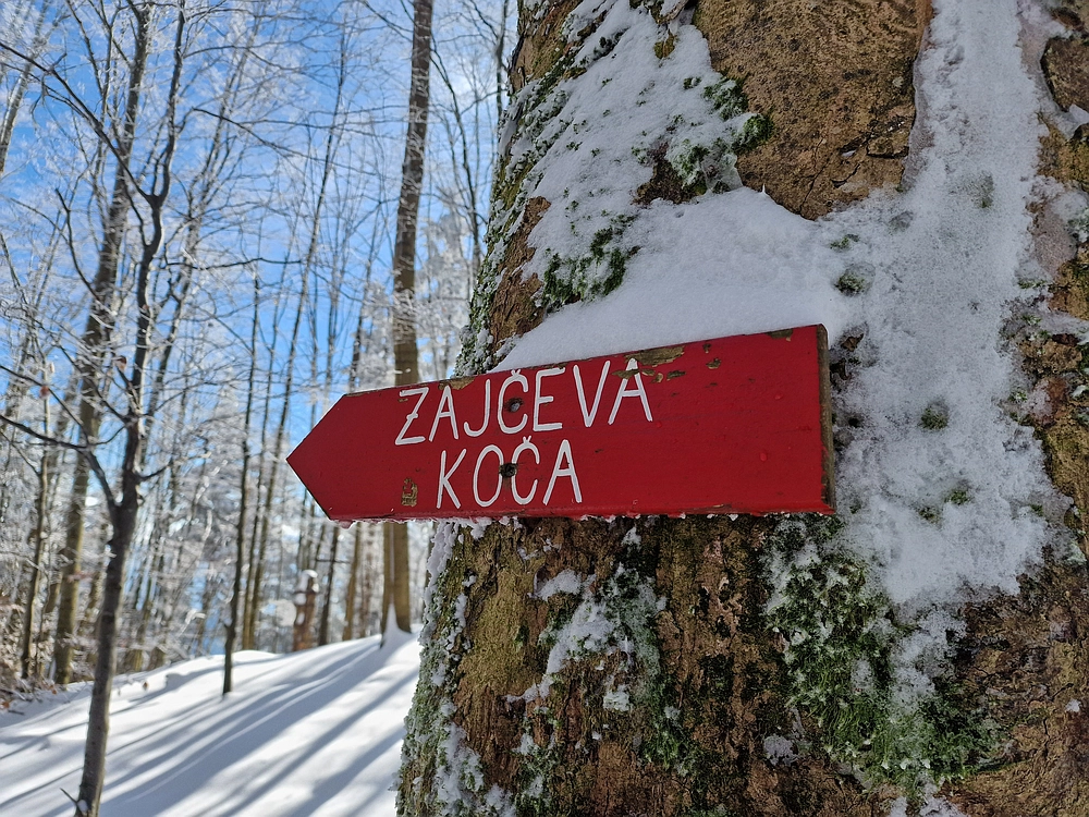 Vrhe - Čemšeniška planina, 23. 11. 2025