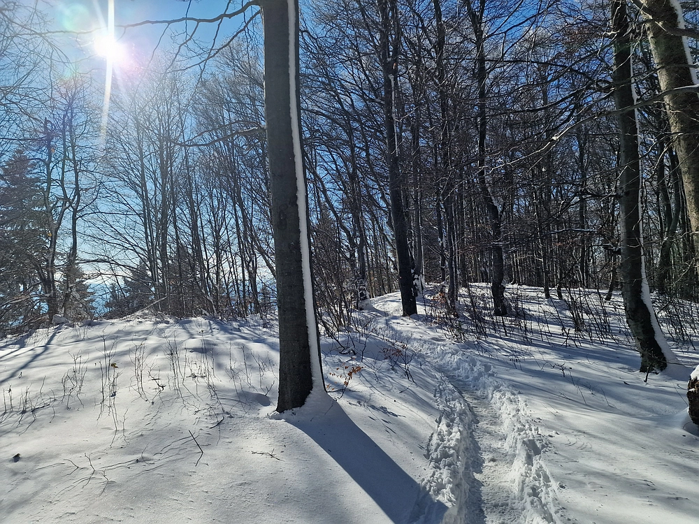 Vrhe - Čemšeniška planina, 23. 11. 2025