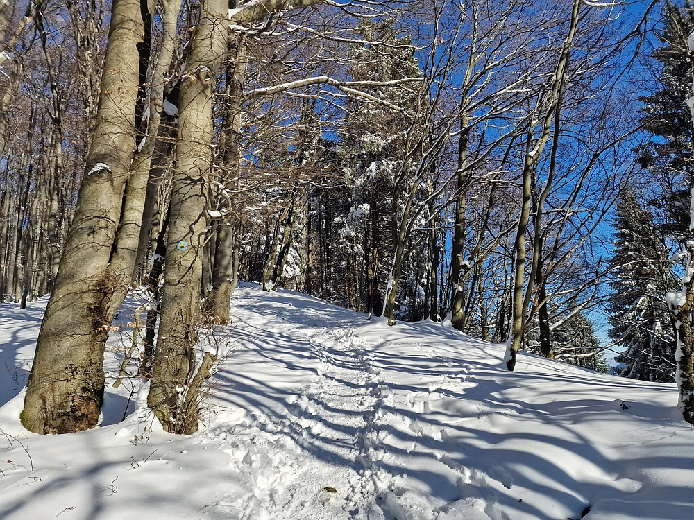 Vrhe - Čemšeniška planina, 23. 11. 2025