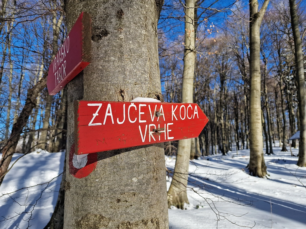 Vrhe - Čemšeniška planina, 23. 11. 2025