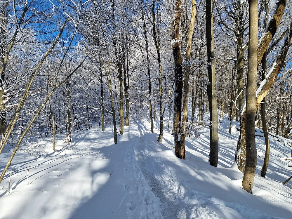 Vrhe - Čemšeniška planina, 23. 11. 2025