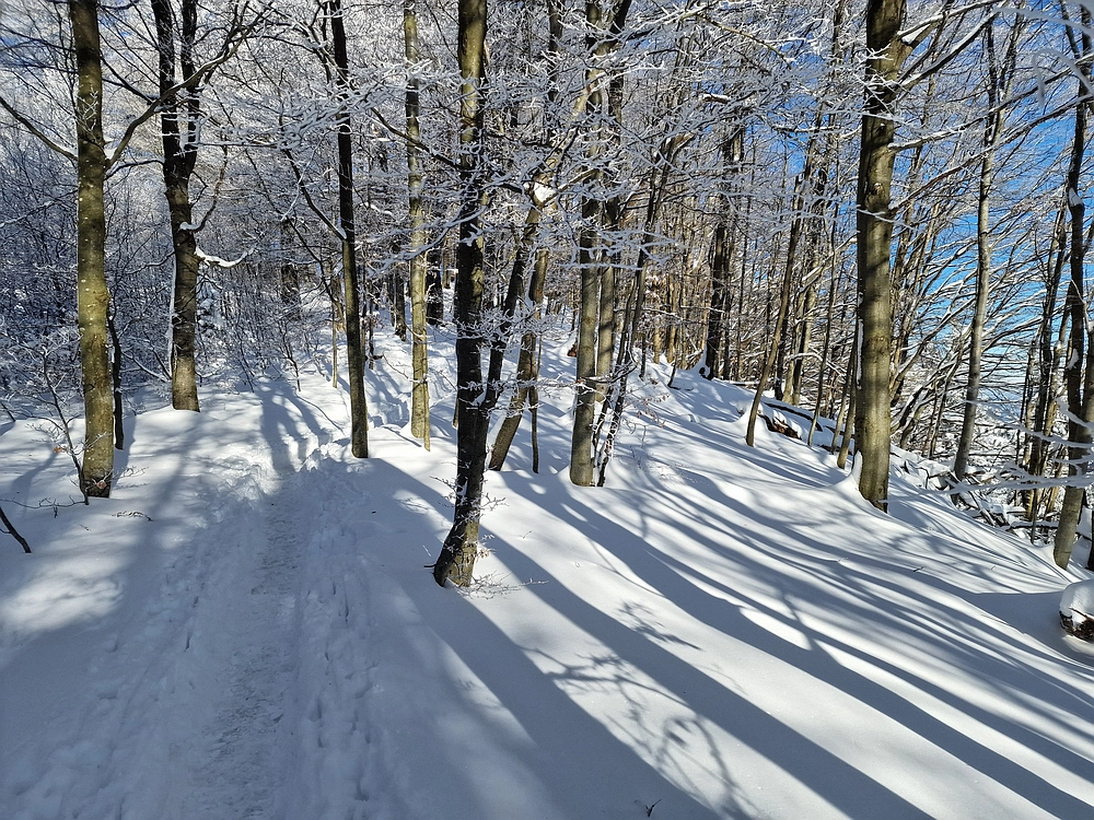 Vrhe - Čemšeniška planina, 23. 11. 2025