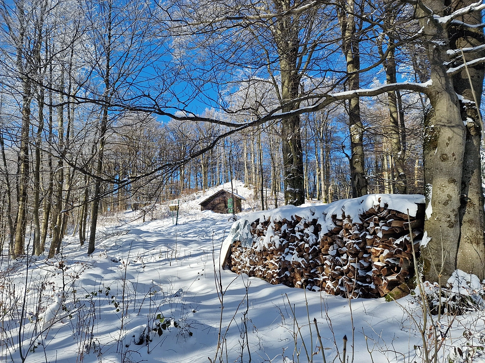 Vrhe - Čemšeniška planina, 23. 11. 2025