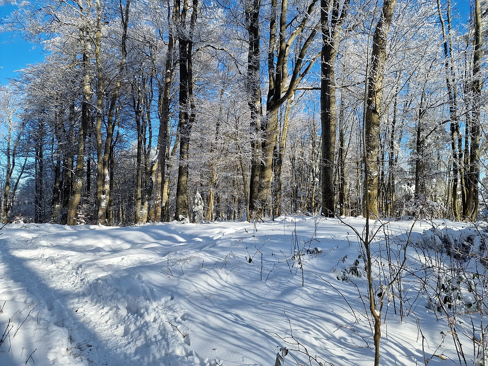 Vrhe - Čemšeniška planina, 23. 11. 2025