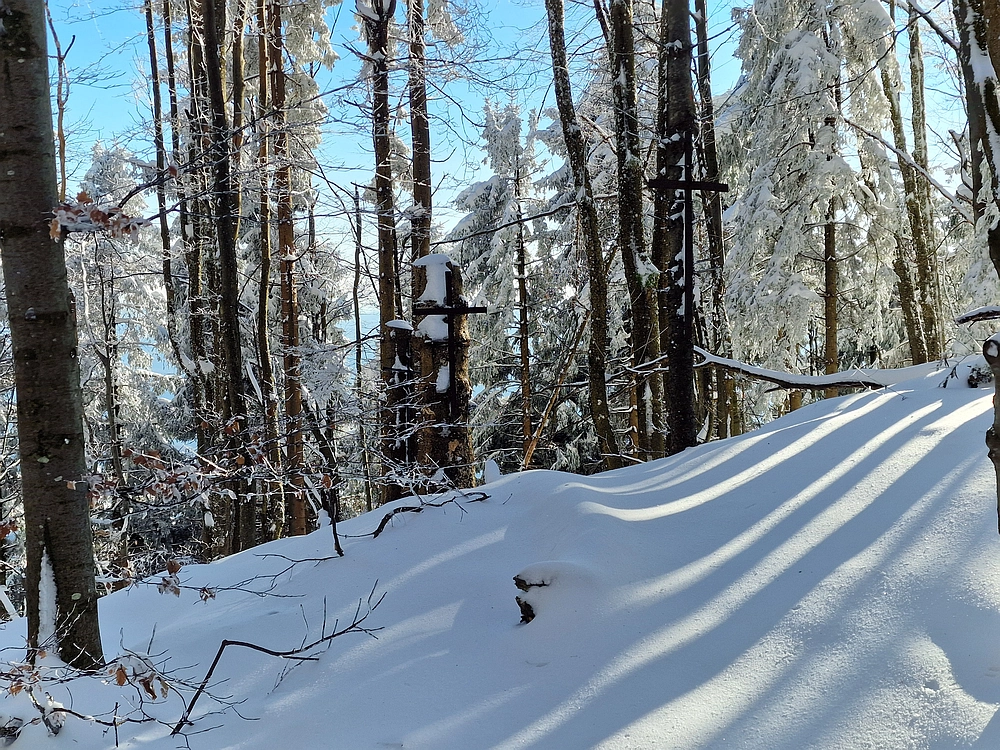 Vrhe - Čemšeniška planina, 23. 11. 2025