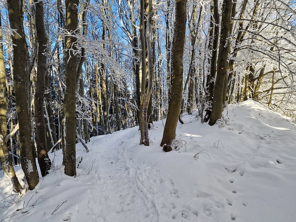 Vrhe - Čemšeniška planina, 23. 11. 2025