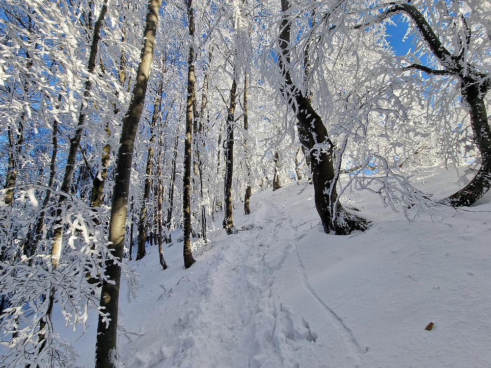 Vrhe - Čemšeniška planina, 23. 11. 2025