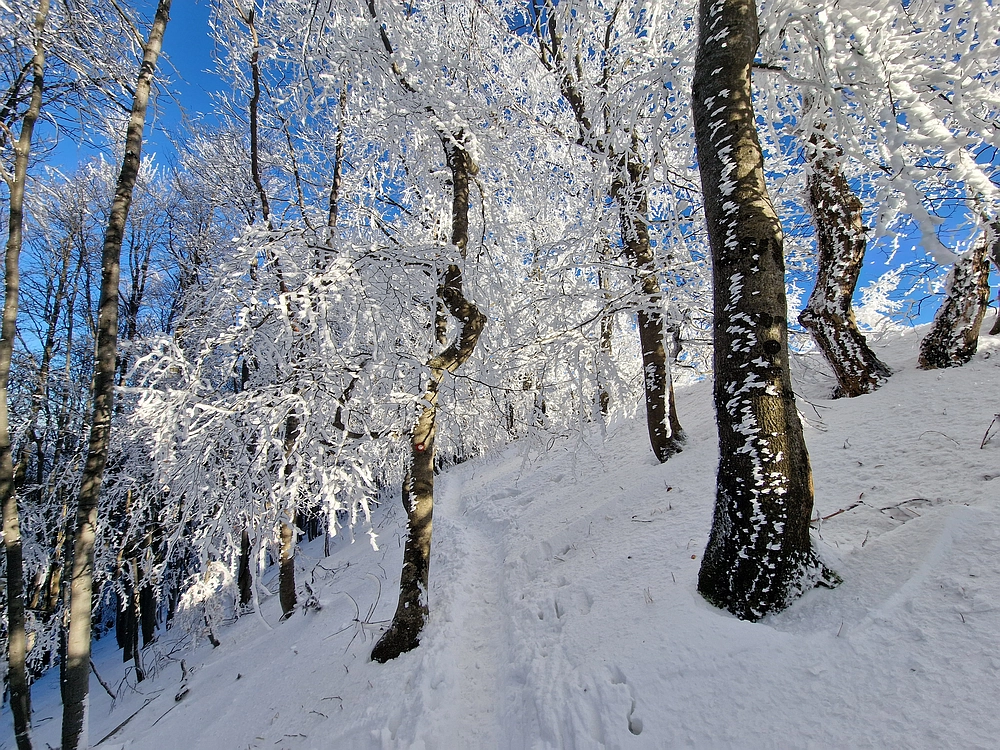 Vrhe - Čemšeniška planina, 23. 11. 2025