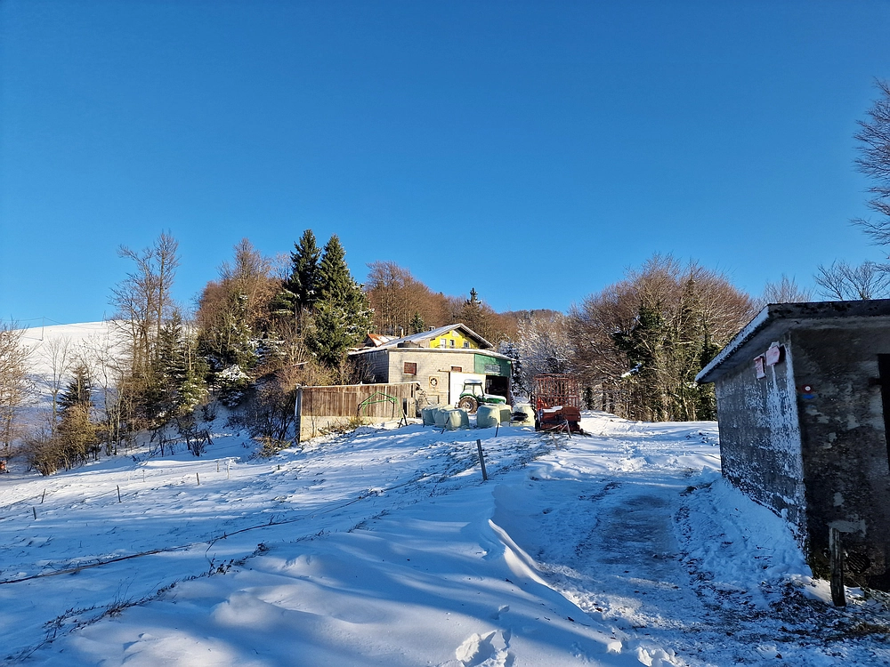 Vrhe - Čemšeniška planina, 23. 11. 2025