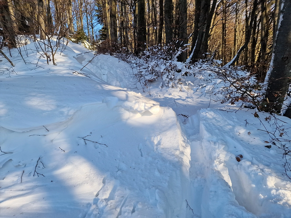 Vrhe - Čemšeniška planina, 23. 11. 2025