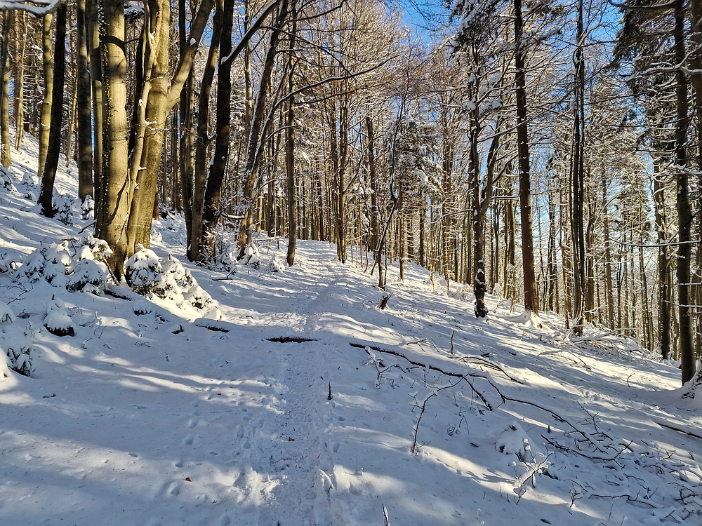 Vrhe - Čemšeniška planina, 23. 11. 2025