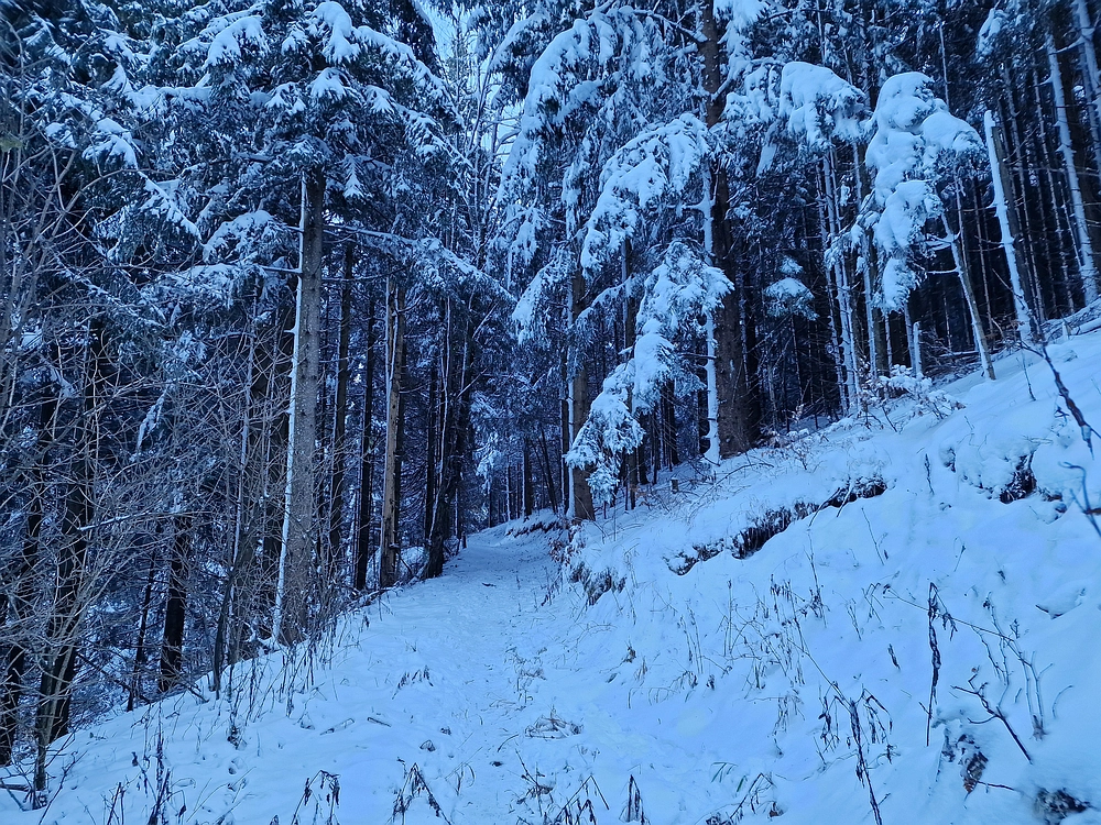 Vrhe - Čemšeniška planina, 23. 11. 2025