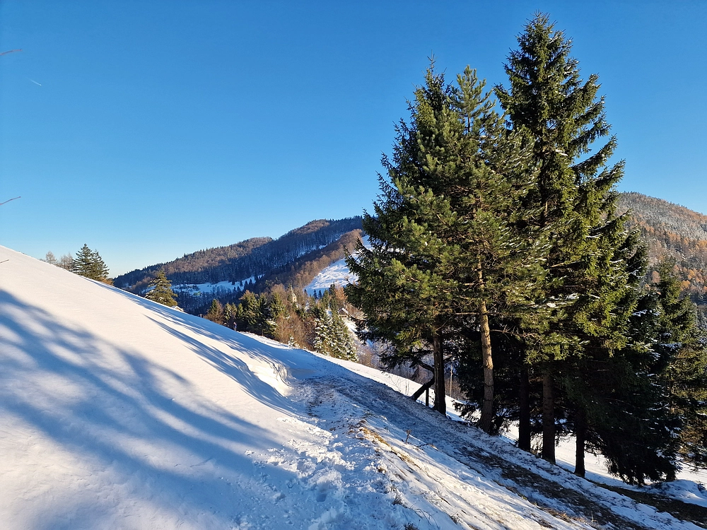 Vrhe - Čemšeniška planina, 23. 11. 2025