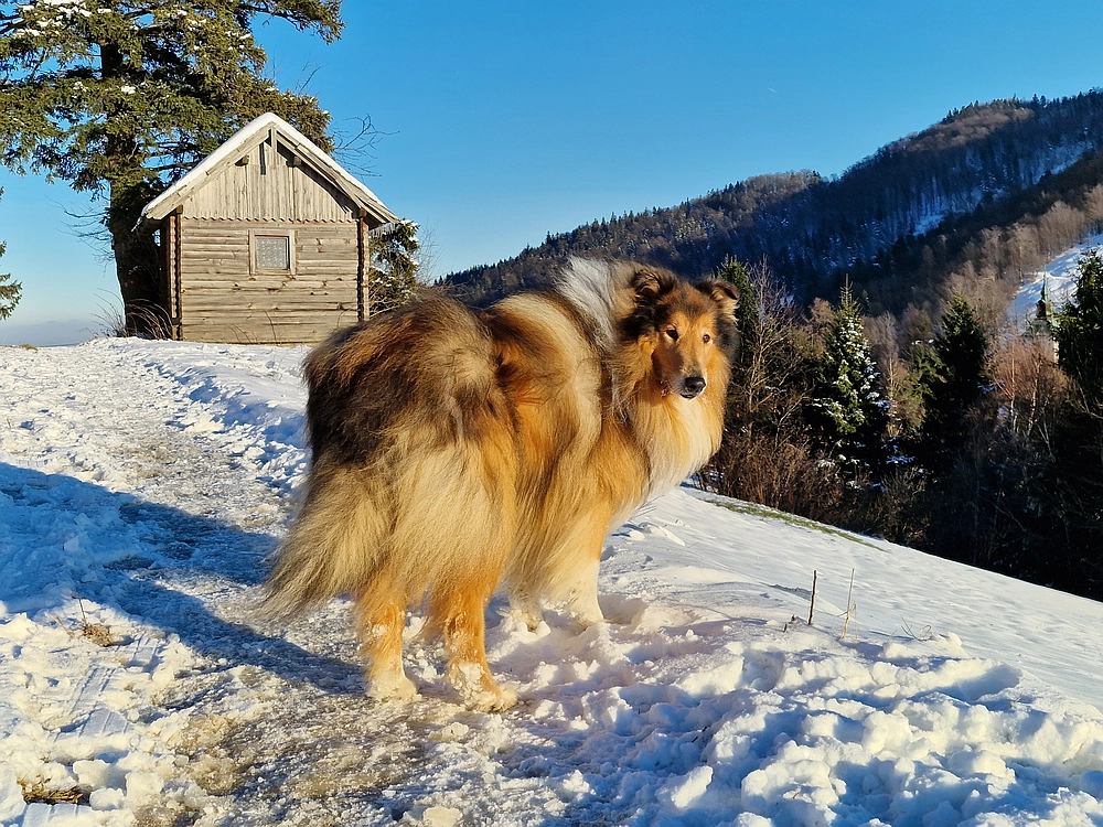 Vrhe - Čemšeniška planina, 23. 11. 2025