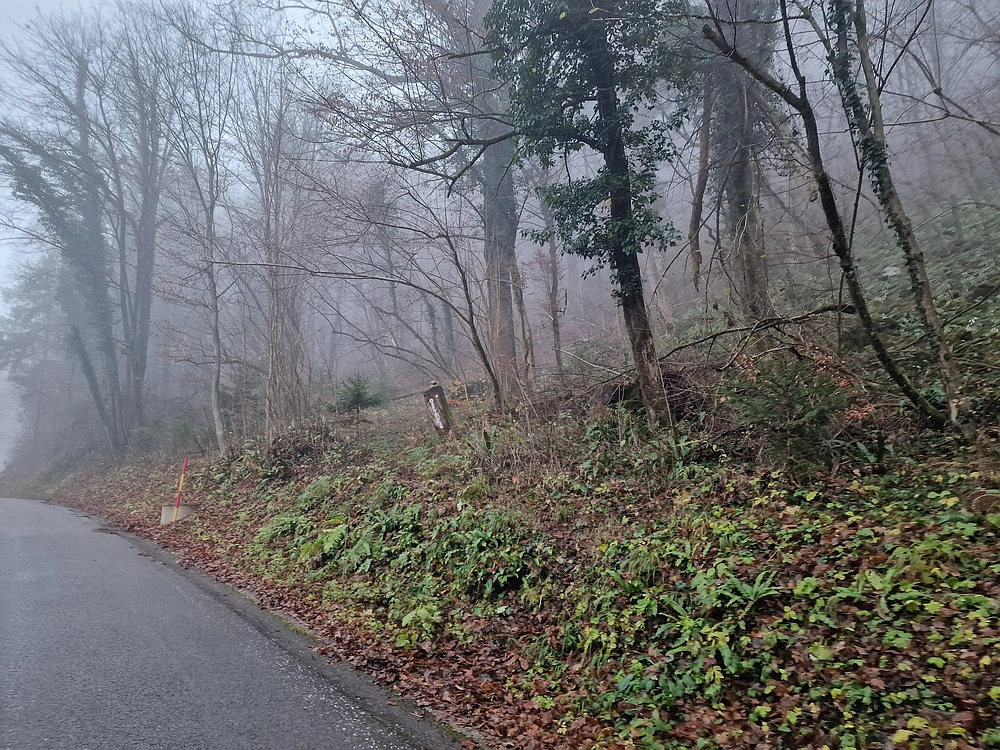 Ostrež, 7. 12. 2025