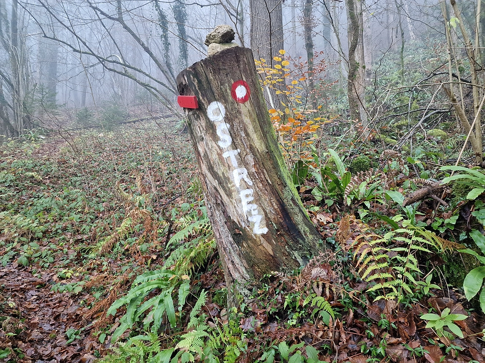 Ostrež, 7. 12. 2025