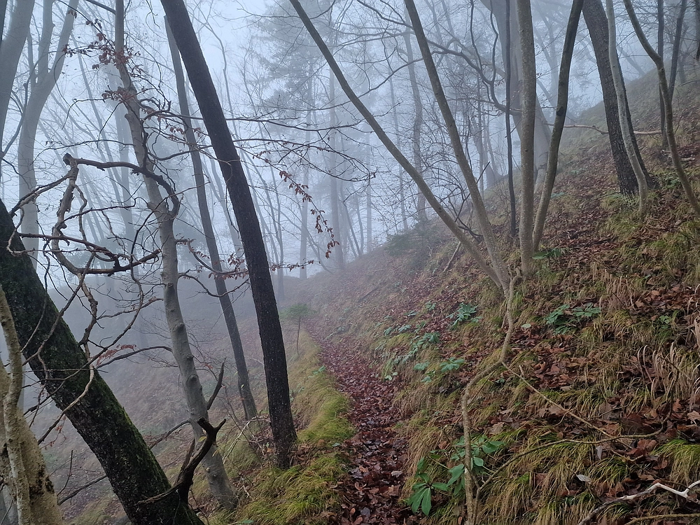 Ostrež, 7. 12. 2025