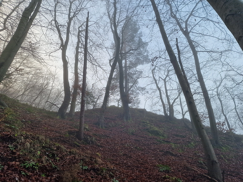 Ostrež, 7. 12. 2025